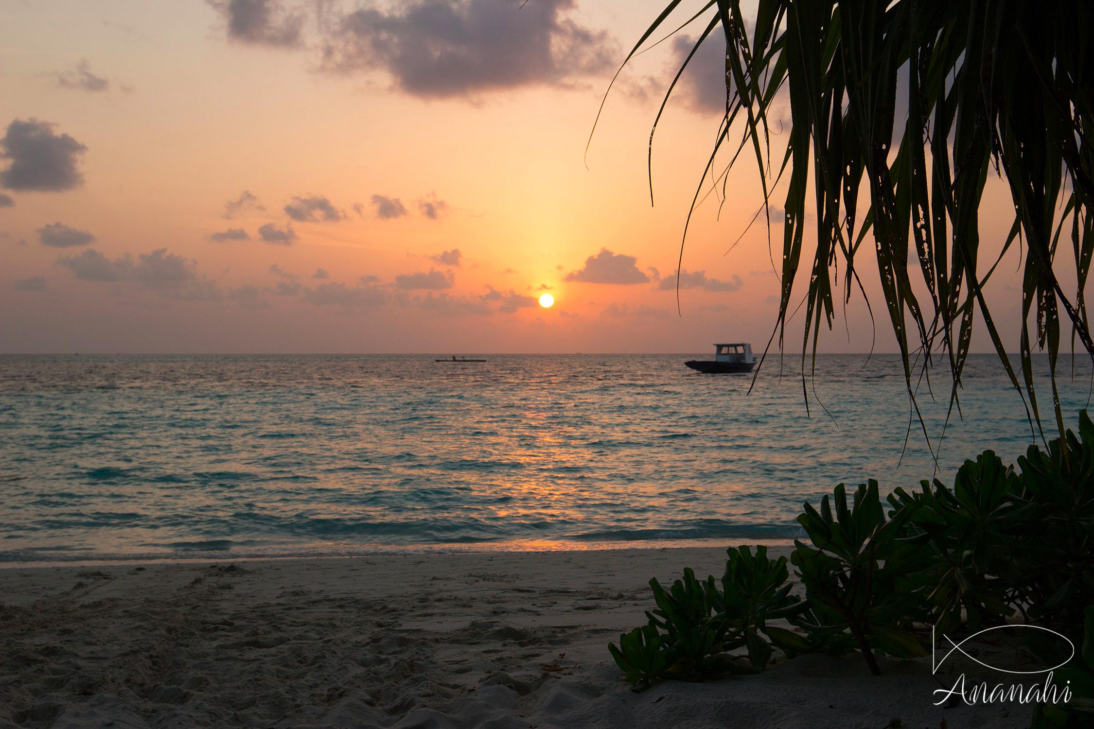 Île de Biyadhoo de Maldives